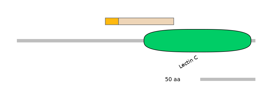 HsaINT0088998-EXC