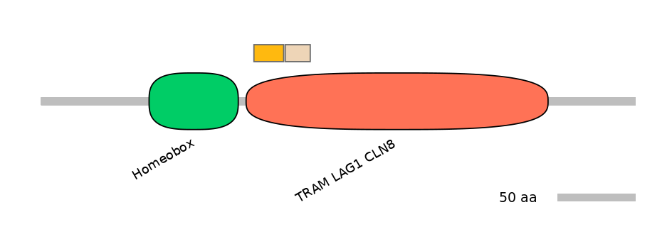 HsaINT0090816-EXC