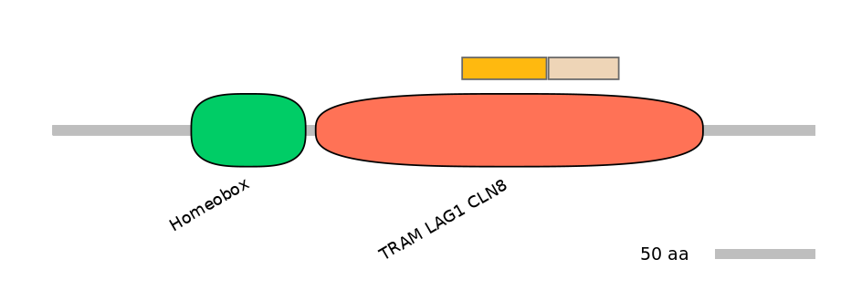 HsaINT0090819-EXC