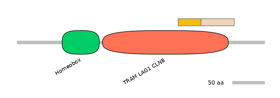 HsaINT0090820-EXC
