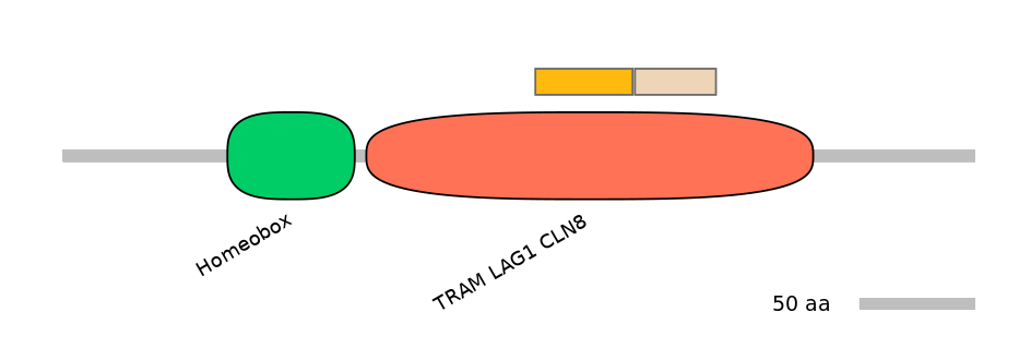 HsaINT0090843-EXC