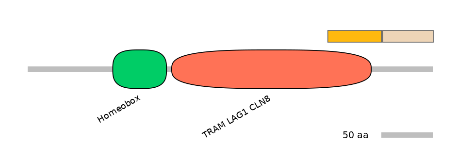 HsaINT0090852-EXC