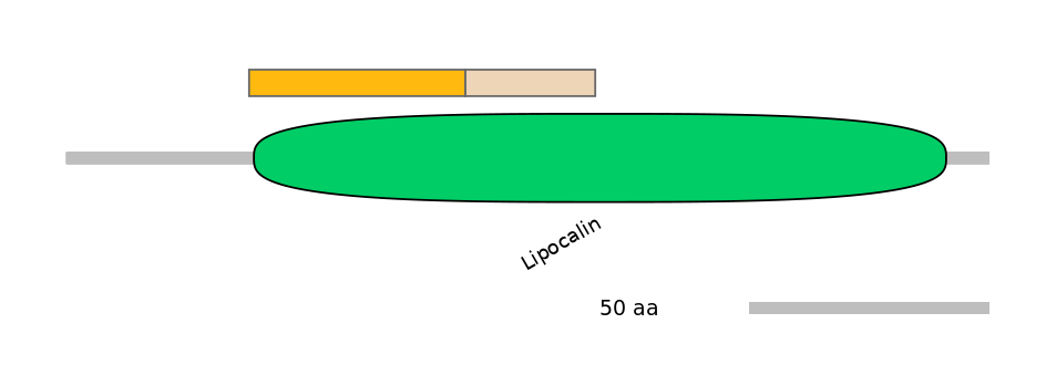 HsaINT0091014-EXC