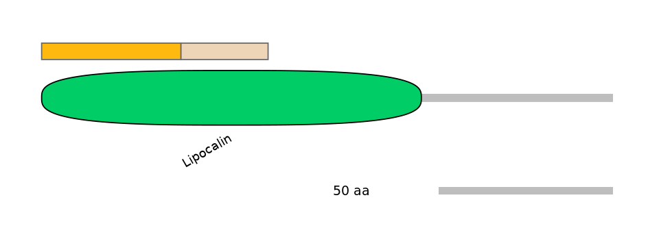 HsaINT0091046-EXC