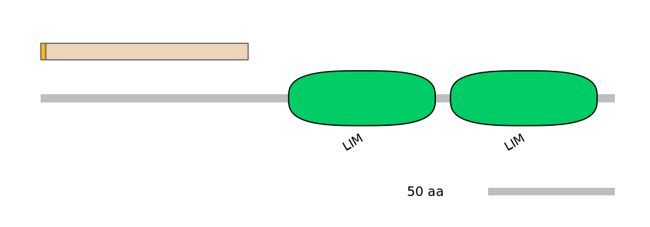 HsaINT0092508-EXC