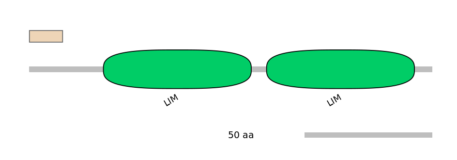 HsaINT0092508-INC