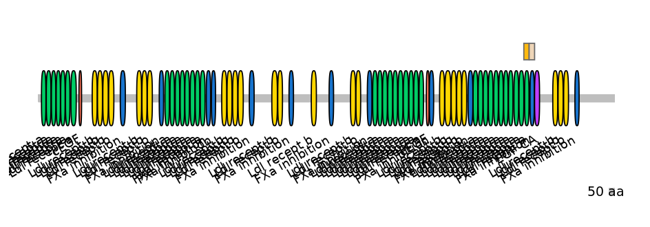 HsaINT0096441-EXC