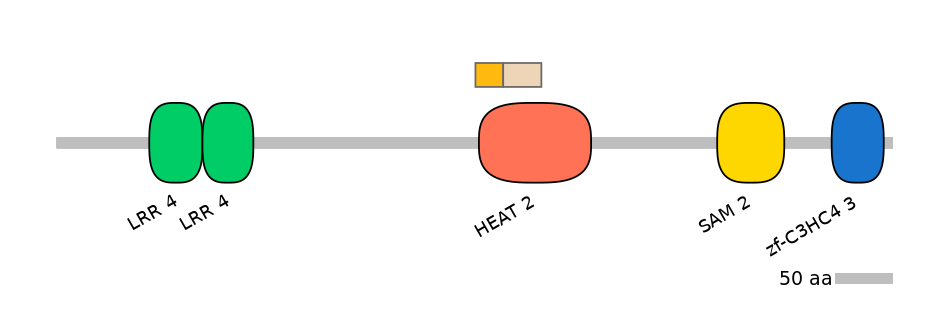 HsaINT0097309-EXC