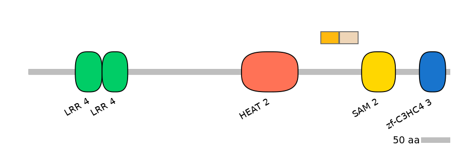 HsaINT0097315-EXC