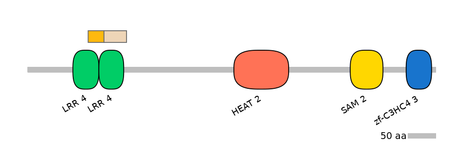 HsaINT0097325-EXC
