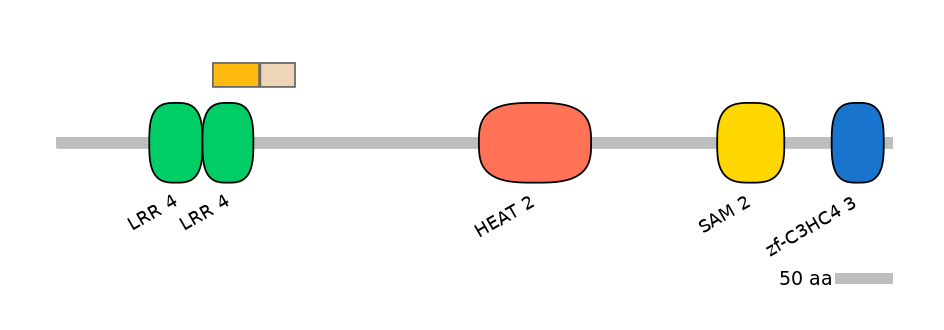 HsaINT0097326-EXC