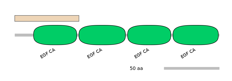 HsaINT0097612-INC
