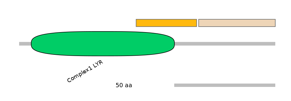 HsaINT0097942-EXC