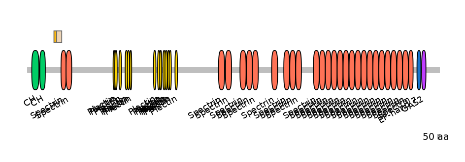 HsaINT0098102-EXC