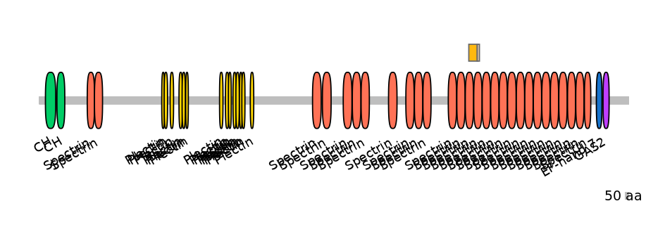 HsaINT0098150-EXC