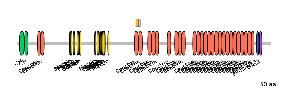 HsaINT0098194-EXC