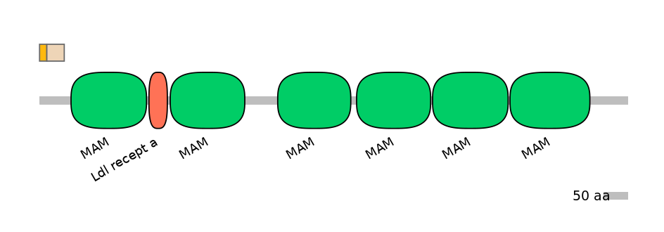 HsaINT0098612-EXC