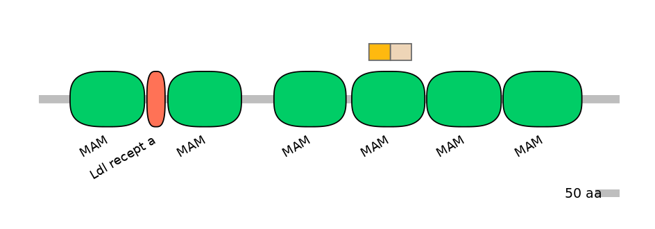 HsaINT0098619-EXC