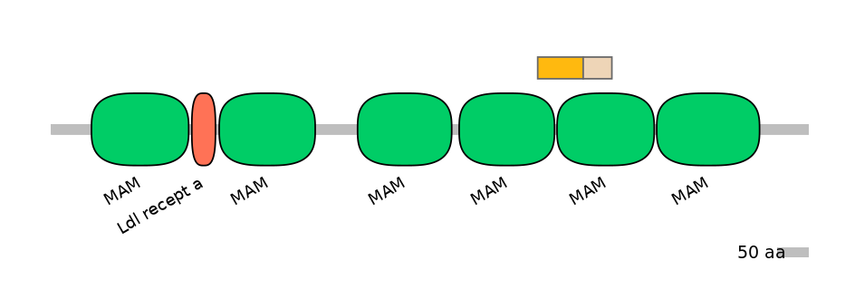 HsaINT0098621-EXC