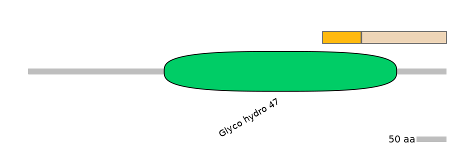 HsaINT0098693-EXC