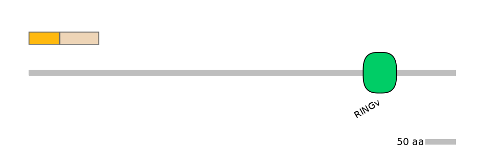 HsaINT0099911-EXC