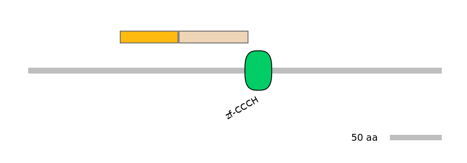 HsaINT0100430-EXC