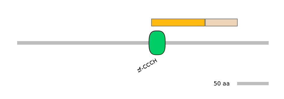 HsaINT0100437-EXC
