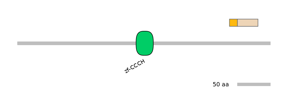HsaINT0100439-EXC