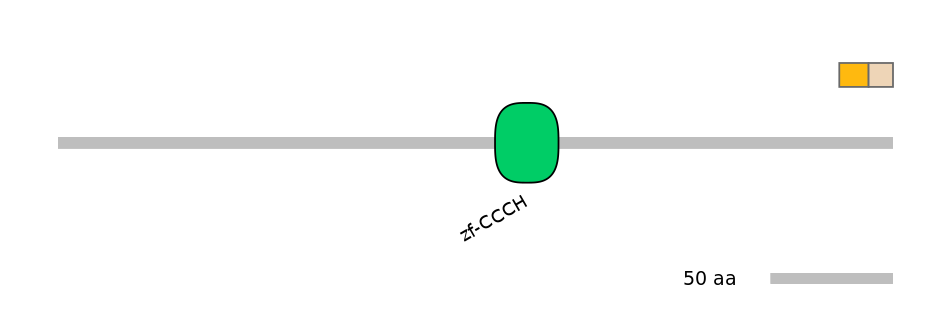 HsaINT0100444-EXC
