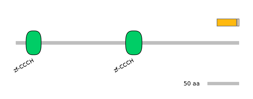 HsaINT0100459-EXC