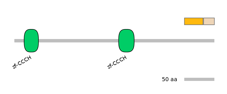 HsaINT0100461-EXC
