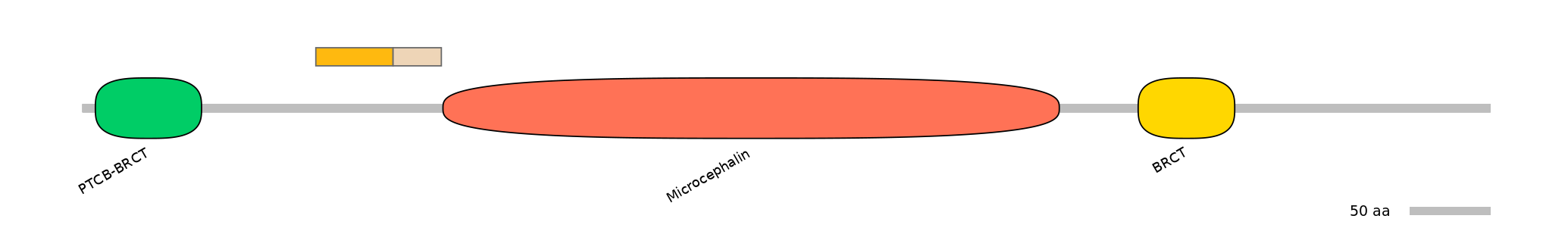 HsaINT0100952-EXC