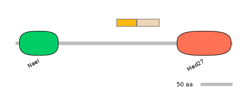 HsaINT0101656-EXC