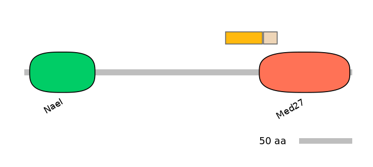 HsaINT0101657-EXC