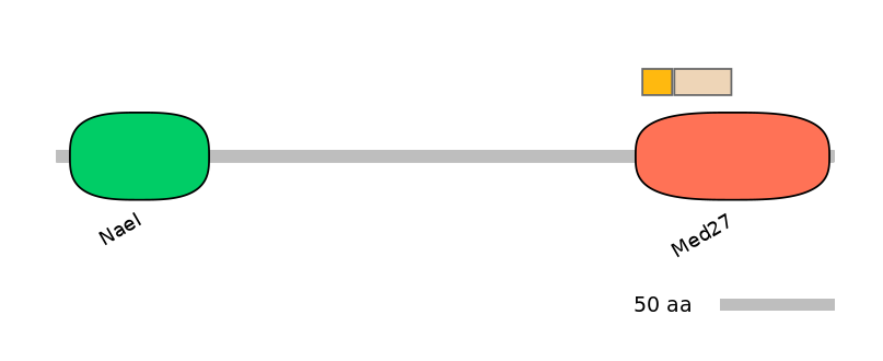 HsaINT0101658-EXC