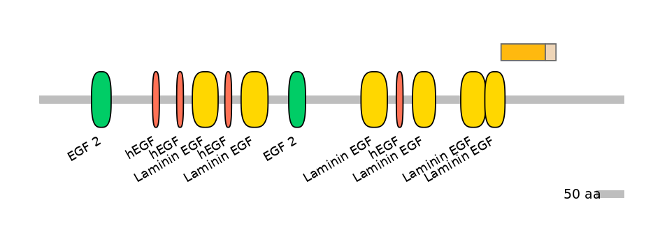 HsaINT0101803-EXC