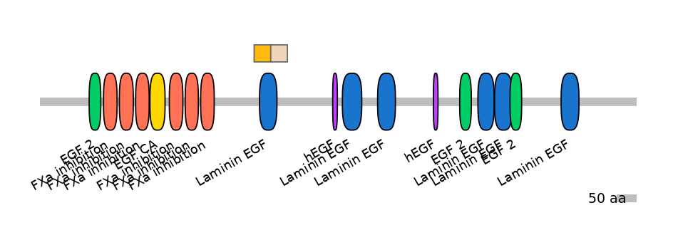 HsaINT0101818-EXC