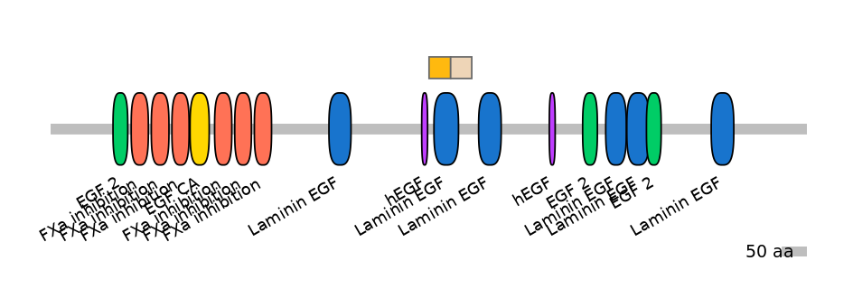 HsaINT0101823-EXC