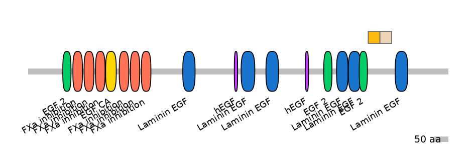 HsaINT0101836-EXC