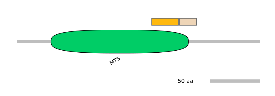HsaINT0102223-EXC