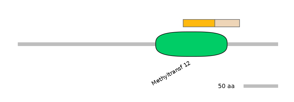 HsaINT0102237-EXC