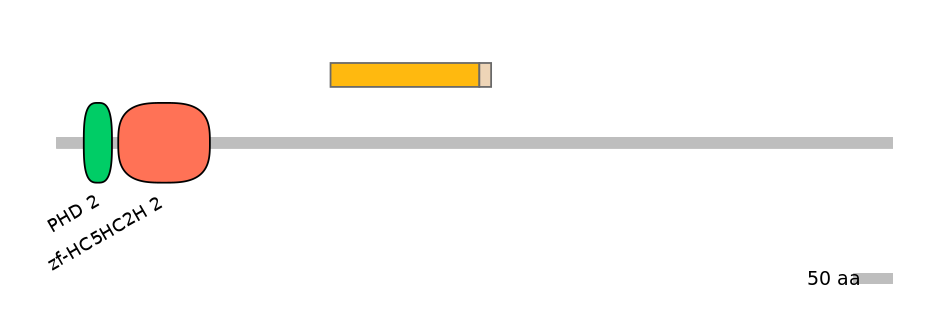 HsaINT0103667-EXC