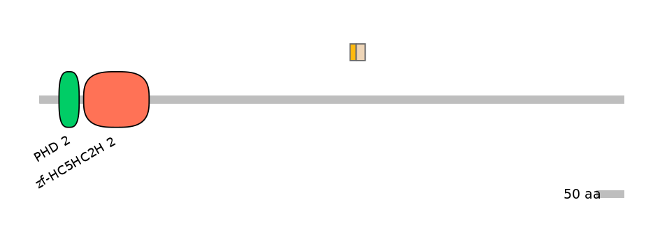 HsaINT0103669-EXC