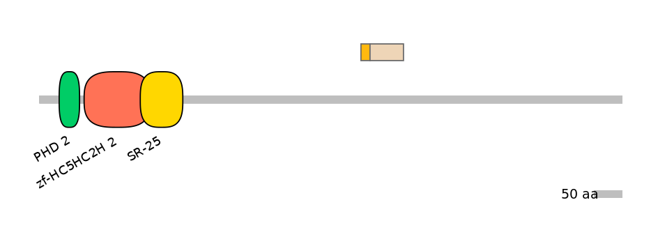 HsaINT0103670-EXC