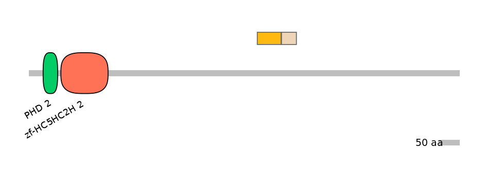 HsaINT0103671-EXC