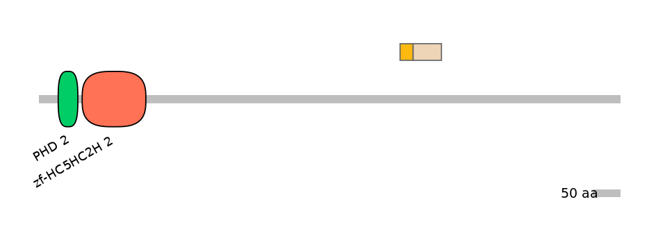 HsaINT0103673-EXC