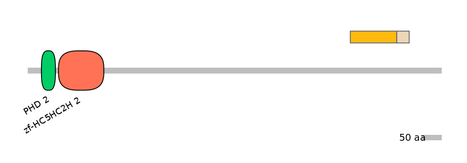HsaINT0103677-EXC