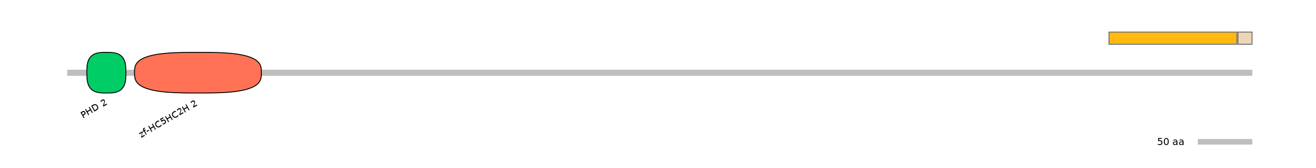 HsaINT0103735-EXC