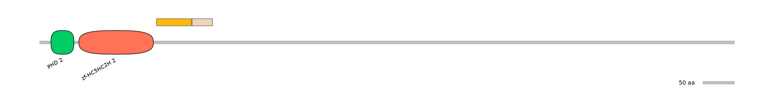 HsaINT0103741-EXC