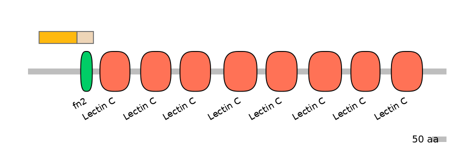 HsaINT0104958-EXC